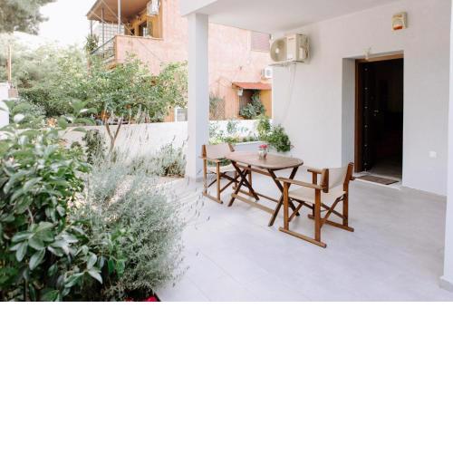Pine trees 55