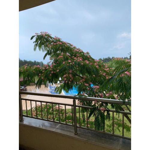 Pines Beach Resort