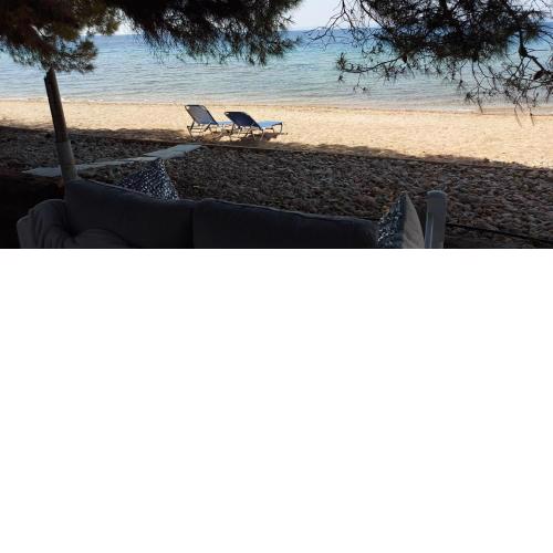 "Pine&Sea" Kastamoniti beach