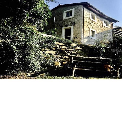 Pippo's Little Resort