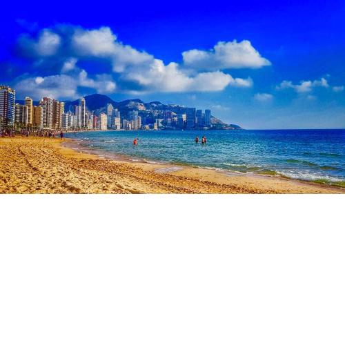 Piscis Of The Sea Benidorm
