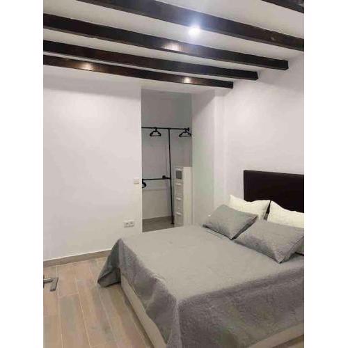 Planta baja moderna y nueva a estrenar en el centro ciudad 2 habitaciones y 2 baños