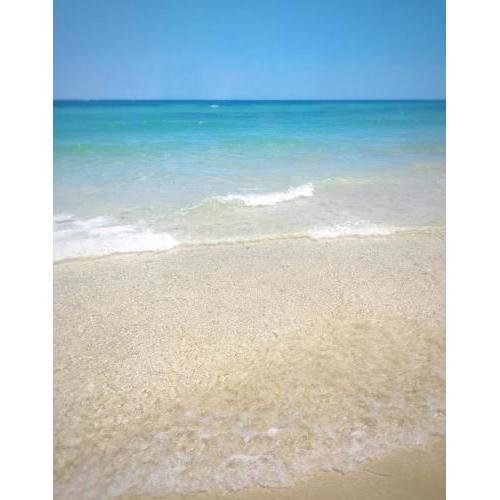 Planta baja primera linea de playa las marinas con acceso al mar