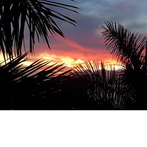 Playa Bonita