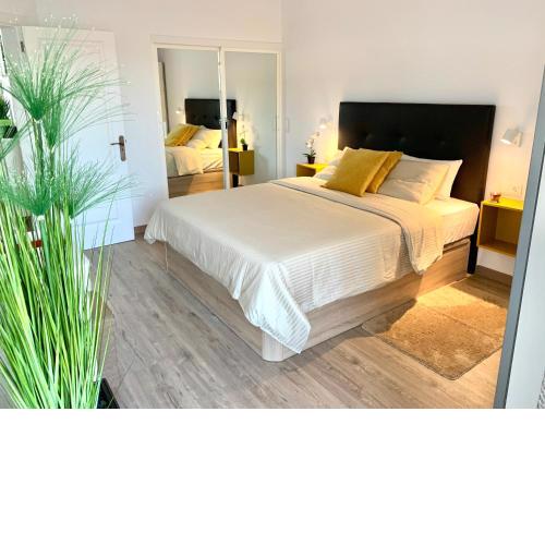 Playa Paraiso apartment
