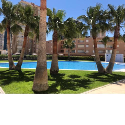 Playa Valencia Residencial Sol y Mar Terraza con Vistas