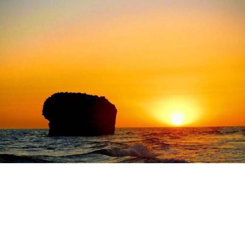 playa y naturaleza