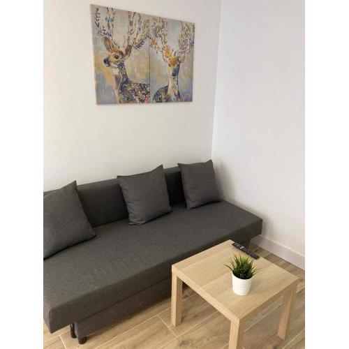 Plaza Castilla Apartments