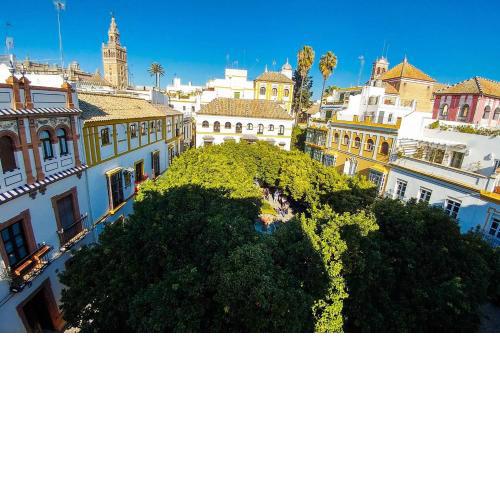 Plaza de Doña Elvira Atico- Penthouse Next to Cathedral