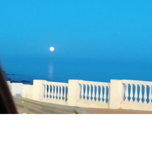 Plaza del Remo Seewt&Beach