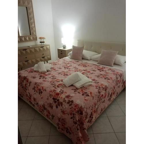 Plebiscito Home