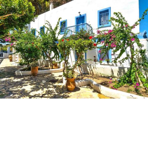PLEIADES a perfect Greek getaway near the beach in Alinda Leros