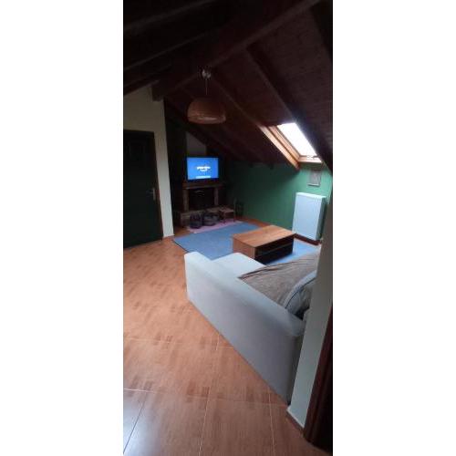 Plioni's Loft