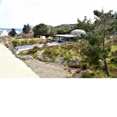 PLUMERIA HOUSE