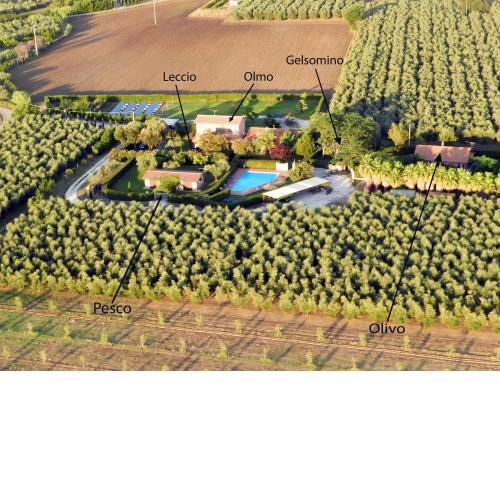 Podere Campi al Mare