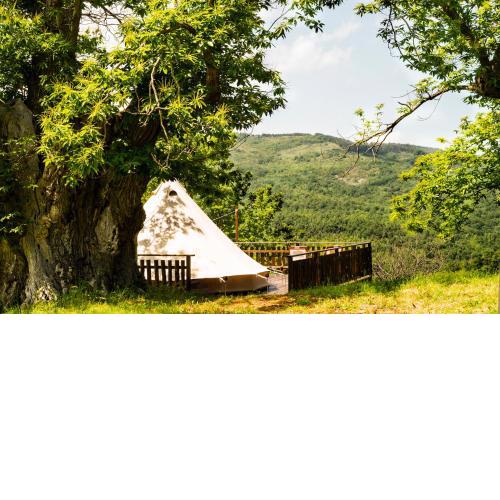 Podere di Maggio - Canvas tent Chestnut