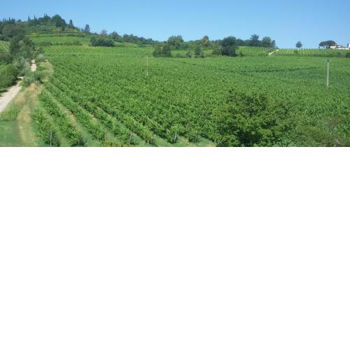 Podere Greve Chianti