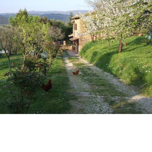 Podere La Vigna