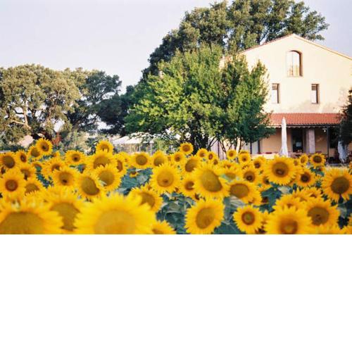 Podere Le Querce