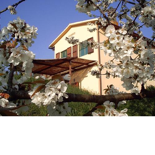 Podere Mazzana
