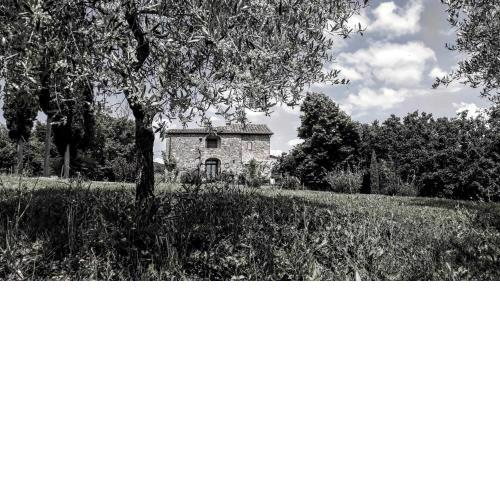 Podere Pievina Delle Corti - Dimora di Campagna