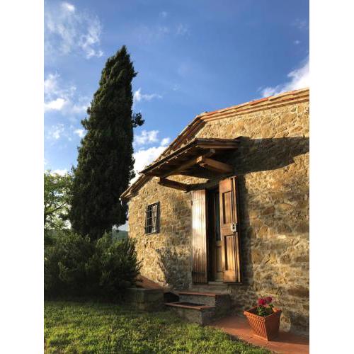 Podere Pruneto