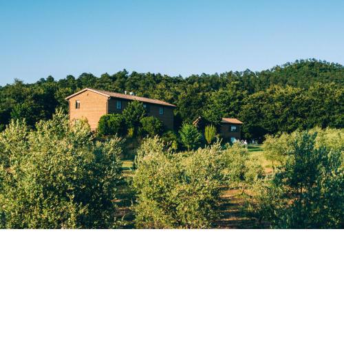 Podere San Francesco