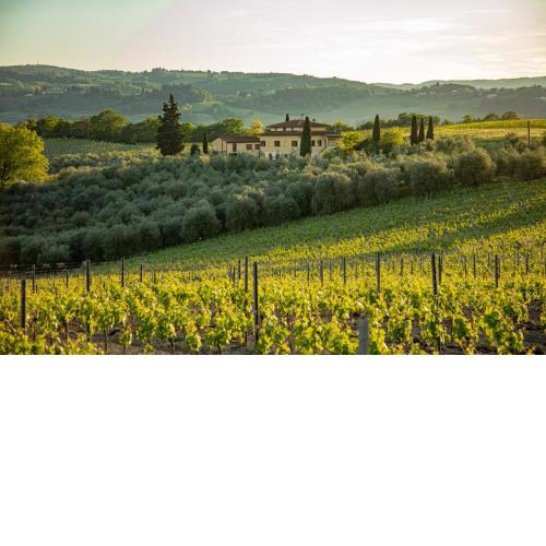 Podere San Michele