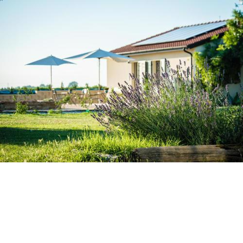 Podere Zampiera Vecchia