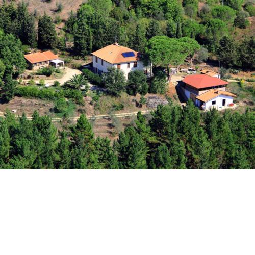 Poggio al Turco - Wohnung 1