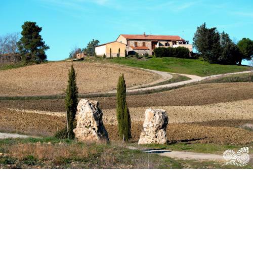 Poggio alla Pietra 26