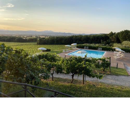 Poggio alle Vigne