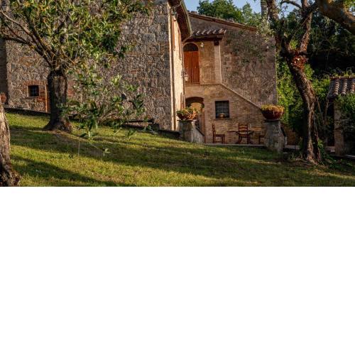 Poggio dell' orso