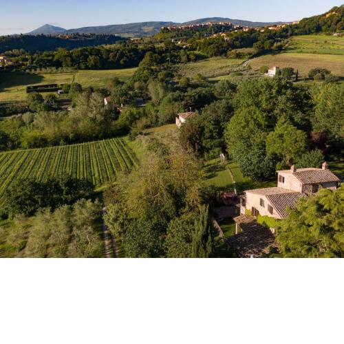 Poggio Etrusco sas di Sheldon Johns Pamela Kay