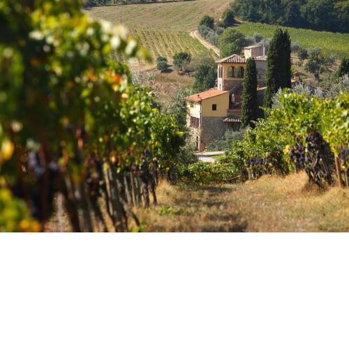 Poggio Rozzi