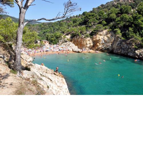 Pola Giverola Camp