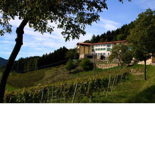 Polisena L'Altro Agriturismo