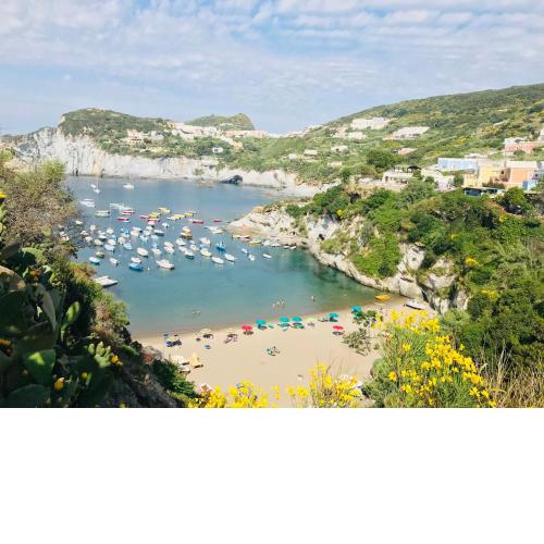 Ponza Cala Feola IMMOBILEVANTE