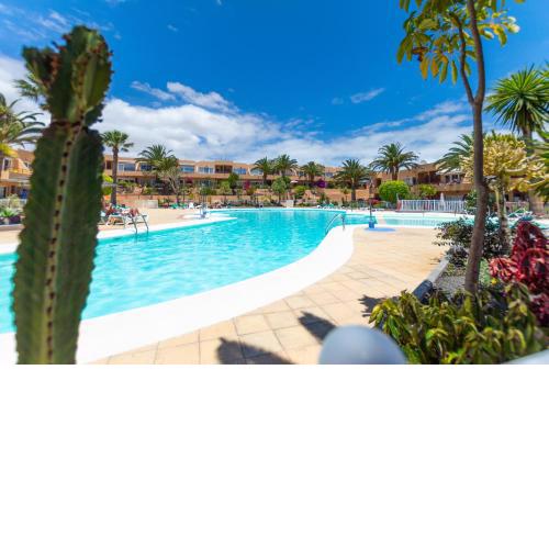 PoolViewZen