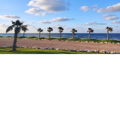 Port Said Resort rentals no1234
