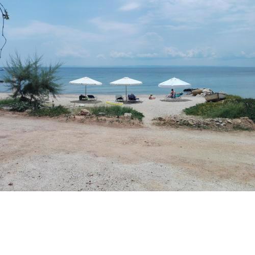 Porto Almira Beachfront Apartments