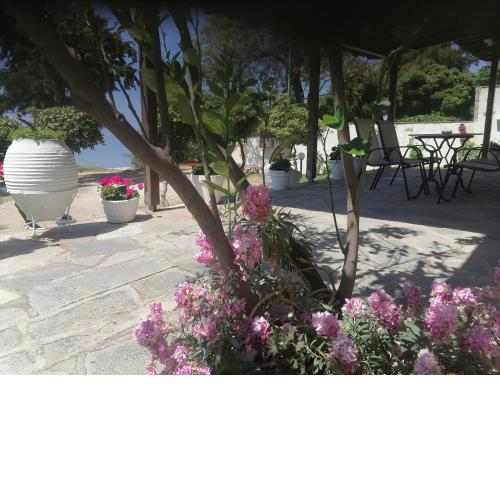 Porto Almira Beachfront Apartments