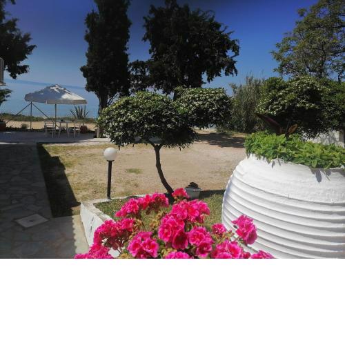 Porto Almira Beachfront Apartments