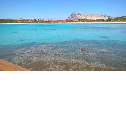 Porto Coda Cavallo
