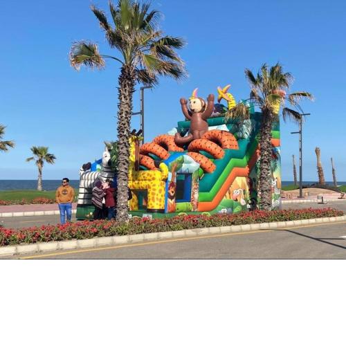 Porto Saeed rentals 1