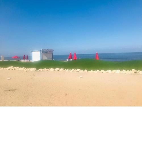 Porto Saeed rentals 2