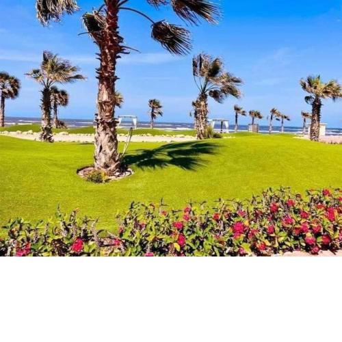 بورتوسعيد Portosaid