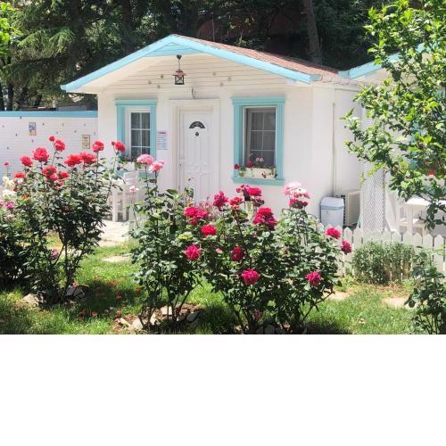 Poyraz Resort