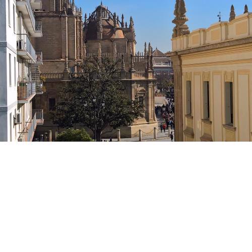 Preciosas Vistas a Catedral