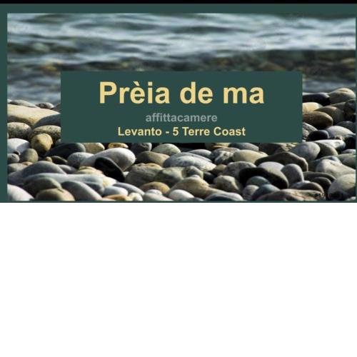 Preia de ma